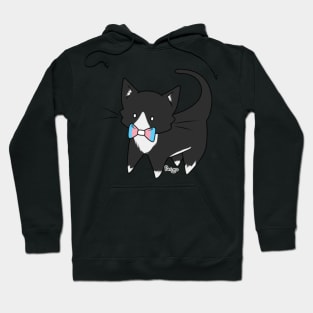 Trans Pride Tuxedo Kitty Hoodie